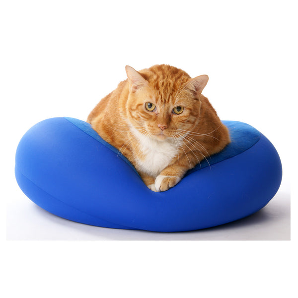 Microbead Pet Pillow for Small Dogs and Cats by Squishy Deluxe (Size: 16x16x4 inches)